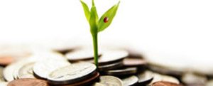 Sagesse assurance vie