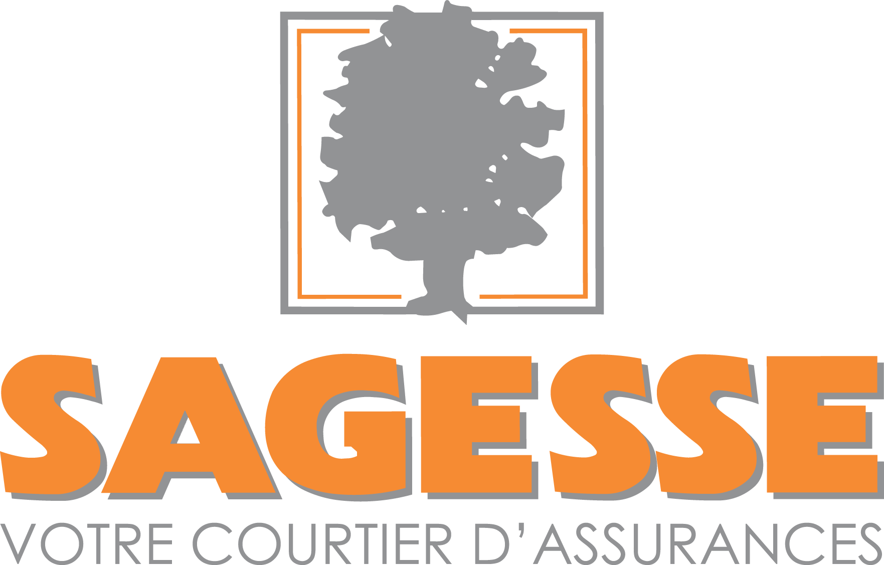 You are currently viewing Fusion des Sociétés SAGESSE et SARL EXACT
