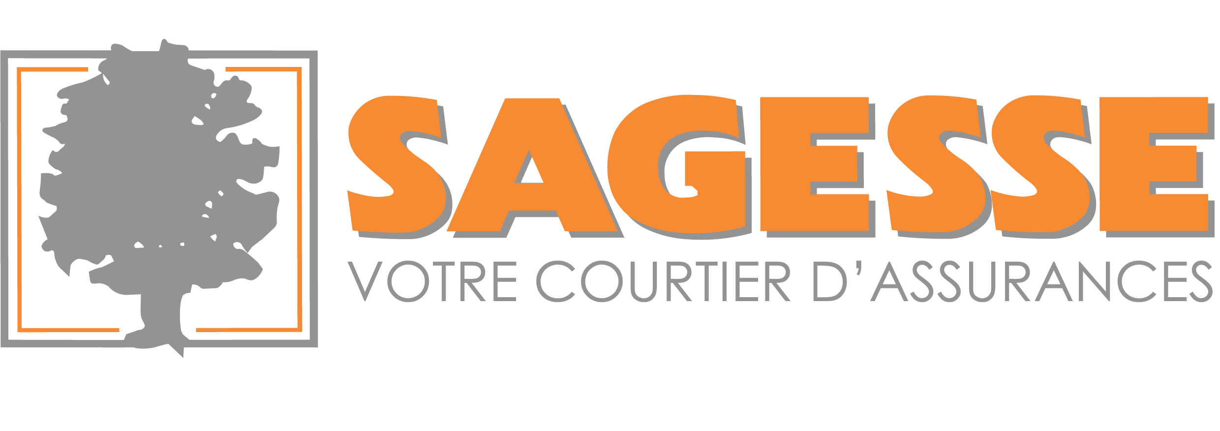 SAGESSE Assurances