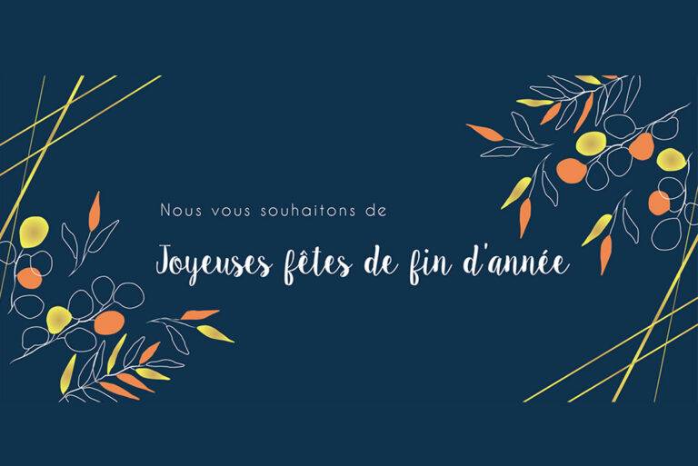 Lire la suite à propos de l’article Bonnes fêtes de fin d’année