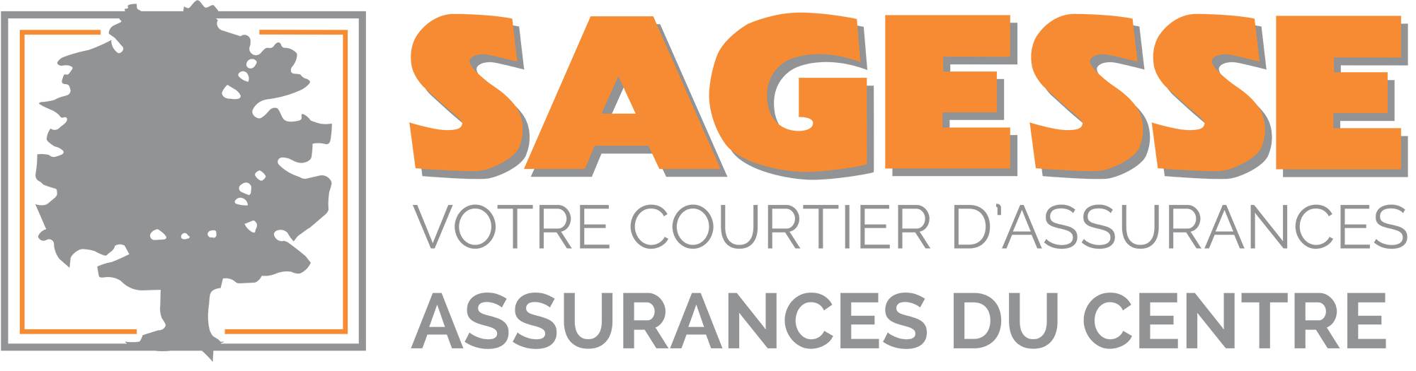 SAGESSE Assurances du Centre, professionnels de l'assurance en région ...