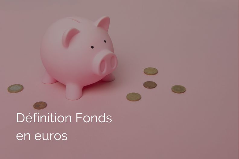 Définition de Fonds en euros